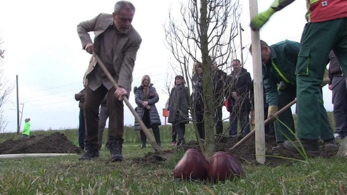 vlcsnap-2018-03-29-15h40m58s826