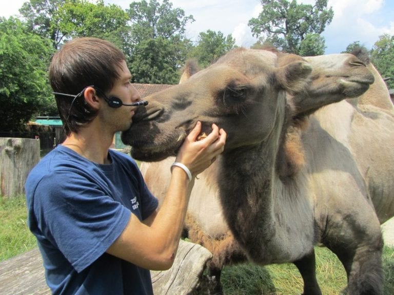 Zagrebački timaritelji u europskom vrhu