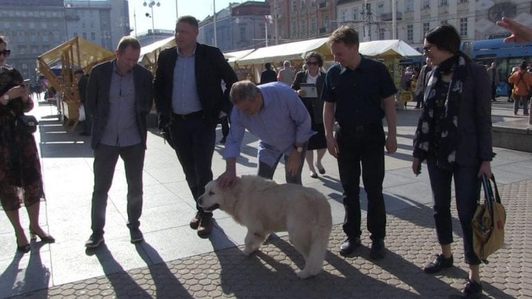 UDOMLJAVANJE JE FORA: Predstavljene nove zakonske obaveze vlasnika kućnih ljubimaca