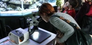 Jedinstven pristup prostorima s vodozemcima