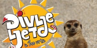 Ljeto uz divlje životinje