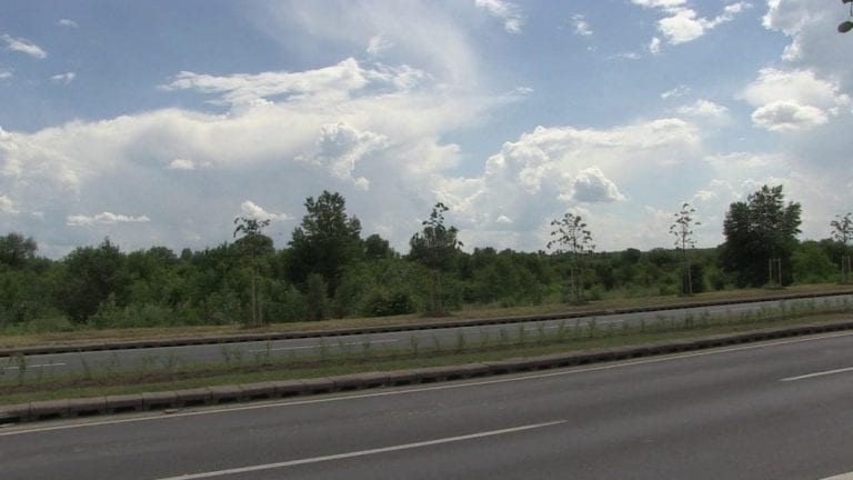 Grad Zagreb uskoro će dobiti istinsku Aleju lipa