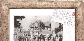 Svjetski dan zaštite okoliša