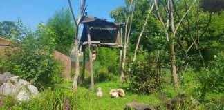 Kent prognozira: Vatreni će Gordog Albiona baciti na koljena