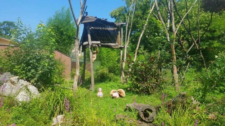 Kent prognozira: Vatreni će Gordog Albiona baciti na koljena