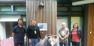 Fotografski lov – jedini mogući lov na medvjede