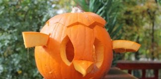 Abrakadabra Zoo: maksimirski kongres vještica i čarobnjaka