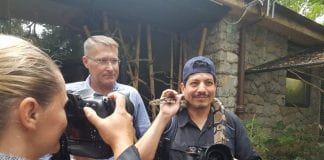 Maloj gibonici ime dao slavni fotoreporter