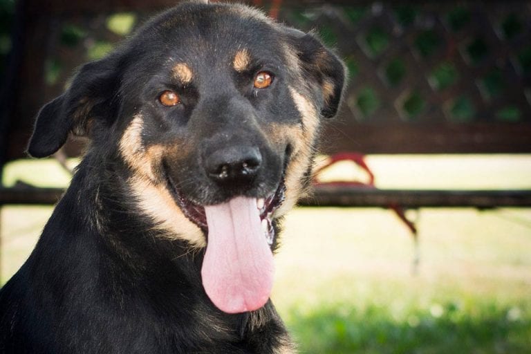 Infocentar spaja ljude i životinje