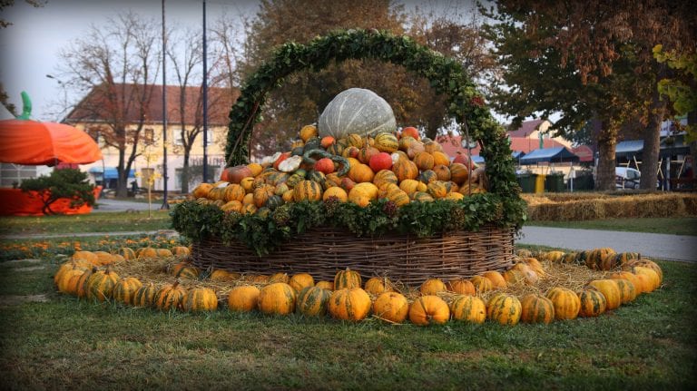 ODRŽANA 14. BUČIJADA U IVANIĆ-GRADU