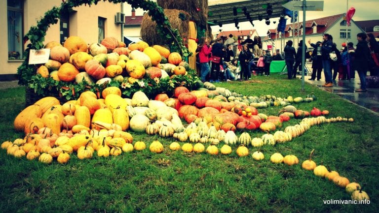 Otvorenje izložbe skulptura i instalacija “Buča kao inspiracija“