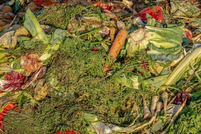 Ako vas zanima zero-waste život ili samo želite smanjiti svoj ekološki otisak – počnite kompostirati
