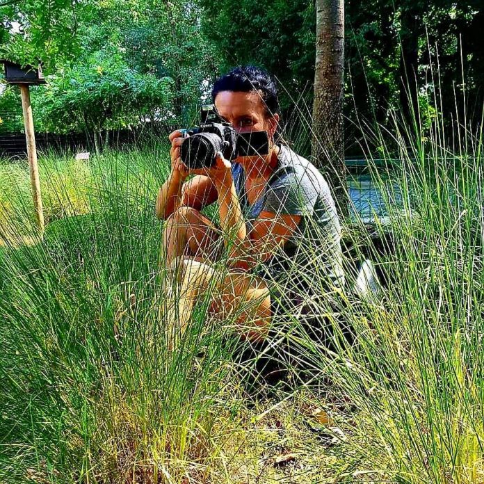 38454912_1631598963629787_7871024304362618880_n