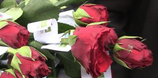 NA TRGU BANA JOSIPA JELAČIĆA OBILJEŽEN DAN ŽENA