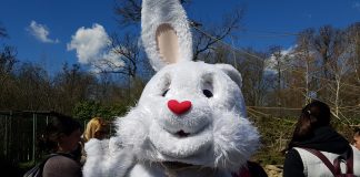 Zekanje u Zoo vrtu: Od tradicije do zabavnih sadržaja nadahnutih pisanicama i zečevima