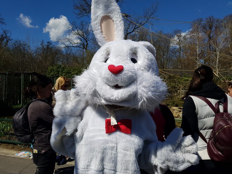 Zekanje u Zoo vrtu: Od tradicije do zabavnih sadržaja nadahnutih pisanicama i zečevima