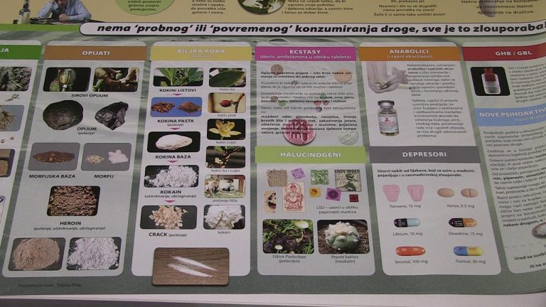 Međunarodni dan borbe protiv zlouporabe  droga i nezakonitog prometa drogama