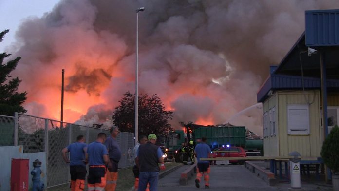 vlcsnap-2019-07-26-14h23m16s425