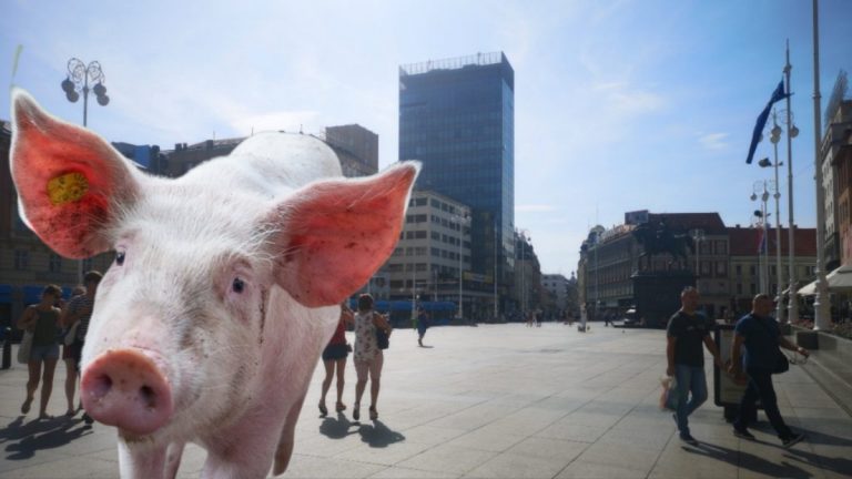 Zagreb ili svinjac? Poslušajte zvukove koji noću odzvanjaju Jakuševcem