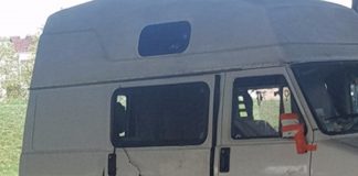 UZNEMIRUJUĆE: Pas se zadavio uzicom ispod Mosta mladosti