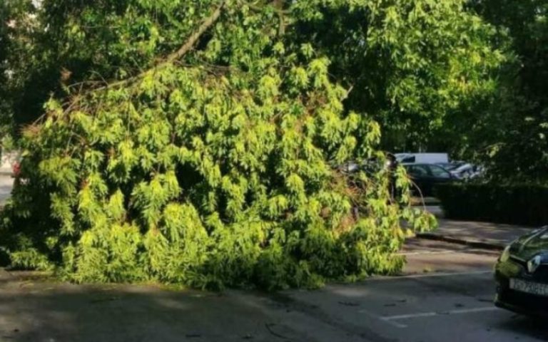Nevrijeme u Zagrebu rušilo stabla, muškarca u Samoboru udarila munja