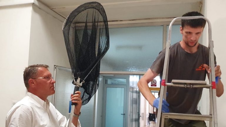 U Traumu KBC-a Sestre Milosrdnice uletjelo jato šišmiša