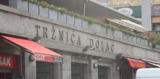 Zagrepčani, na tržnicama se dijele sadnice stabala