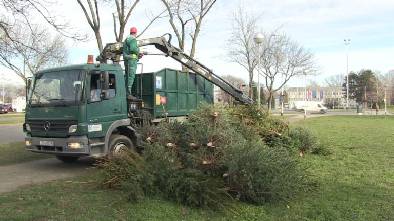 Krenuo odvoz božićnih jelki, odlažite ih na zelene površine