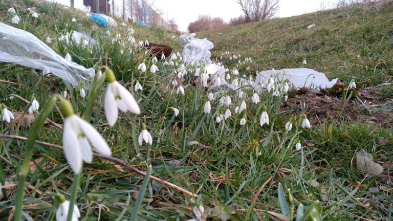 Prošetali smo Novim Zagrebom: Teško je fulati smeće, na svakom je koraku