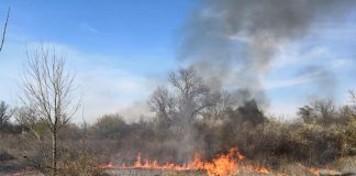Velik broj požara u posljednja 24 sata, gorjelo i kod Sveučilišne bolnice