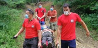 Pčelari bilježe porast intervencija u Zagrebu, stršljen napao planinara na Medvednici