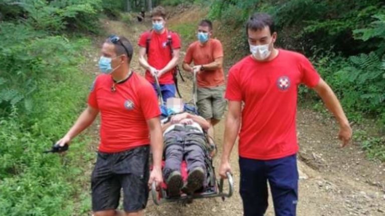 Pčelari bilježe porast intervencija u Zagrebu, stršljen napao planinara na Medvednici