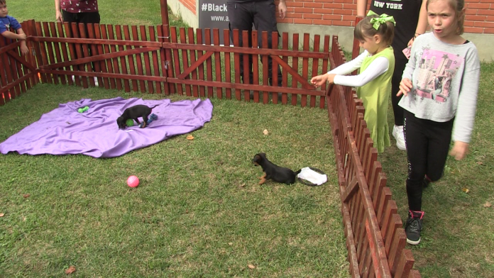 vlcsnap-2020-10-03-15h28m31s178