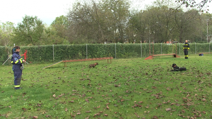 vlcsnap-2020-10-03-15h58m16s859