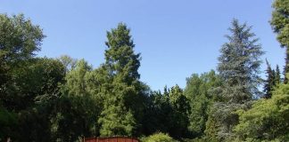 NAKON 120 GODINA: U Botanički vrt više nećete moći besplatno