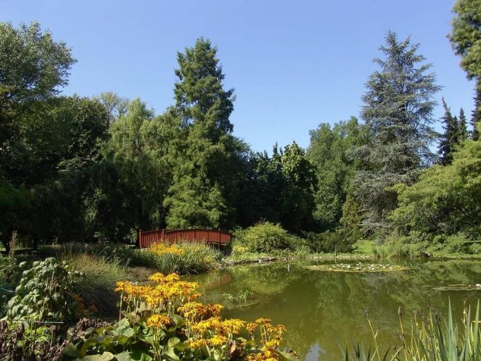 FB_IMG_1614067191105