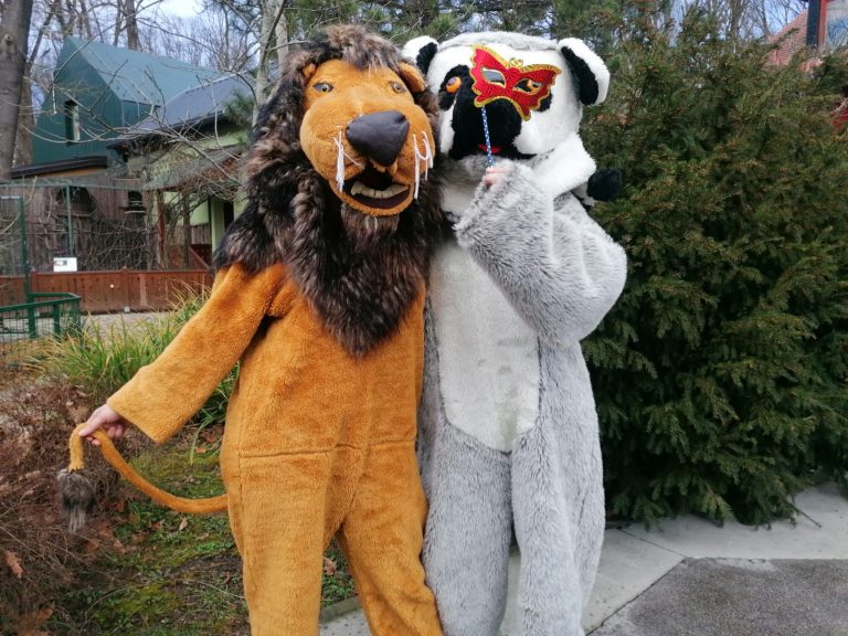 FAŠNIK U ZOOLOŠKOM VRTU: Slobodan ulaz za svu djecu koja dođu kostimirana!