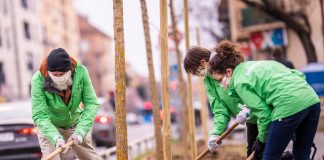 U Martićevoj zasađen drvored: “Zagreb treba više zelenila, a manje betona”