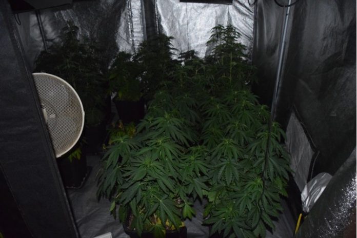 Foto: PU Zagrebačka