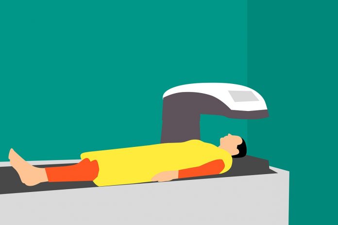 bone-g86d7c39da_1280