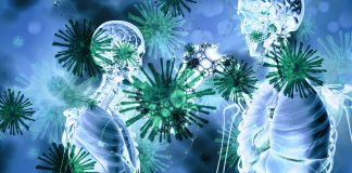 U svijetu od ove bolesti oboli više od 250 milijuna ljudi