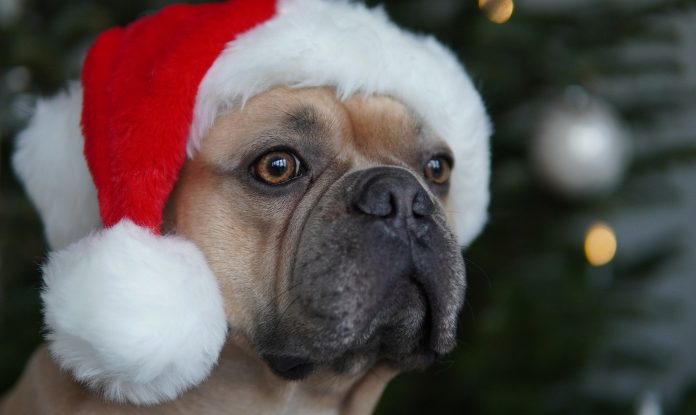 santa-claus-g38aca092b_1920