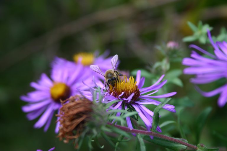 Posjetite Zoološki vrt u nedjelju i obilježite Međunarodni dan bioraznolikosti