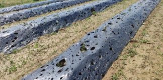 Proglašena prirodna nepogoda za Jastrebarsko, Krašić i Žumberak