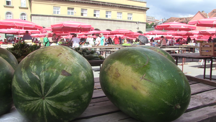 vlcsnap-2022-06-24-11h06m04s518