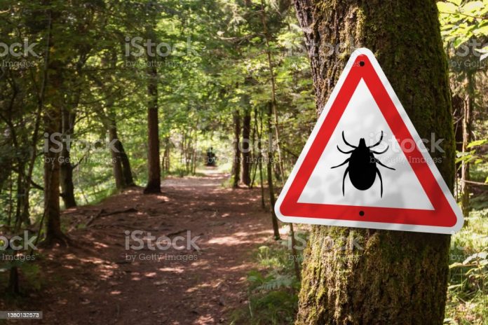 istockphoto-1380132573-1024x1024