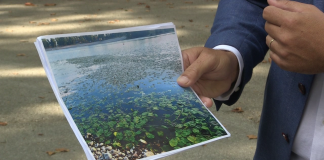 Iz HSLS-a oštro: Jarun prepun lopoča, mulja i smrada!