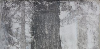 Samostalne izložbe akademskog umjetnika Zorana Kakše