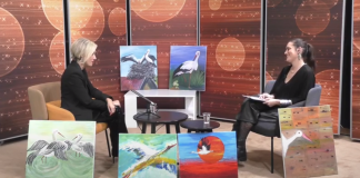 Edukativno-rekreativna staza “Upoznajmo šumu”