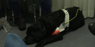 Zdravstvena zaštita i prevencija pogoršanja zdravlja osoba s invaliditetom i djece s teškoćama u razvoju